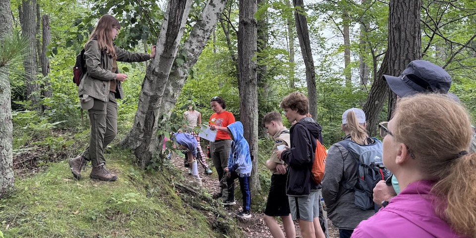Scouts from Troop 161 learning about trees at camp